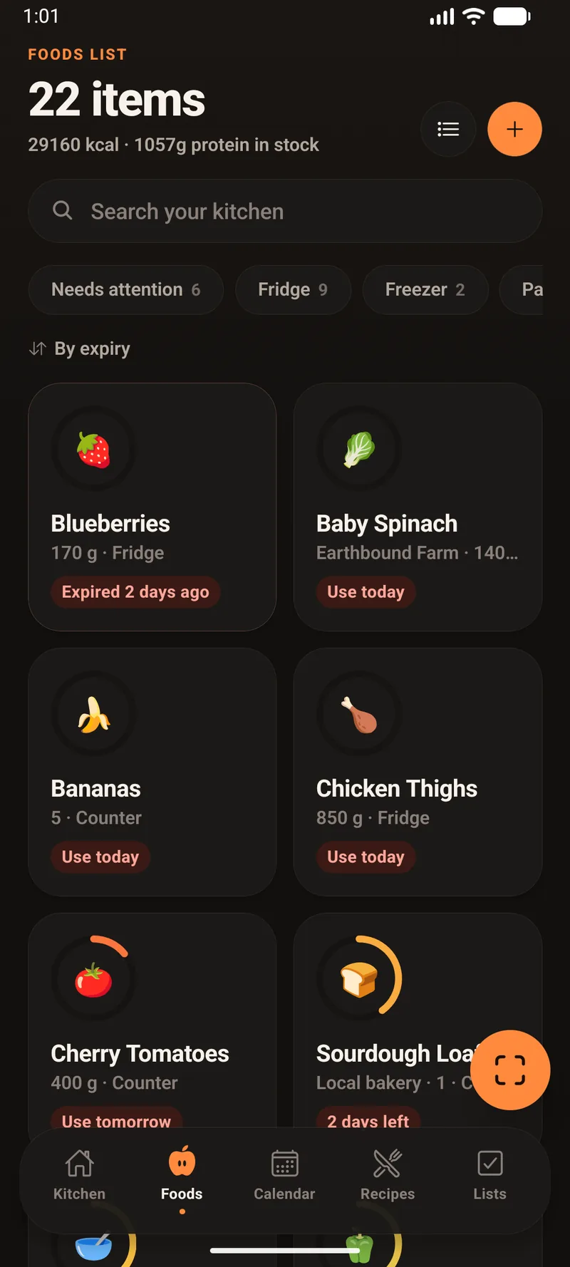 The same Foods List in a two-column grid, each card showing the food's glyph inside a freshness ring with its quantity, location and status.